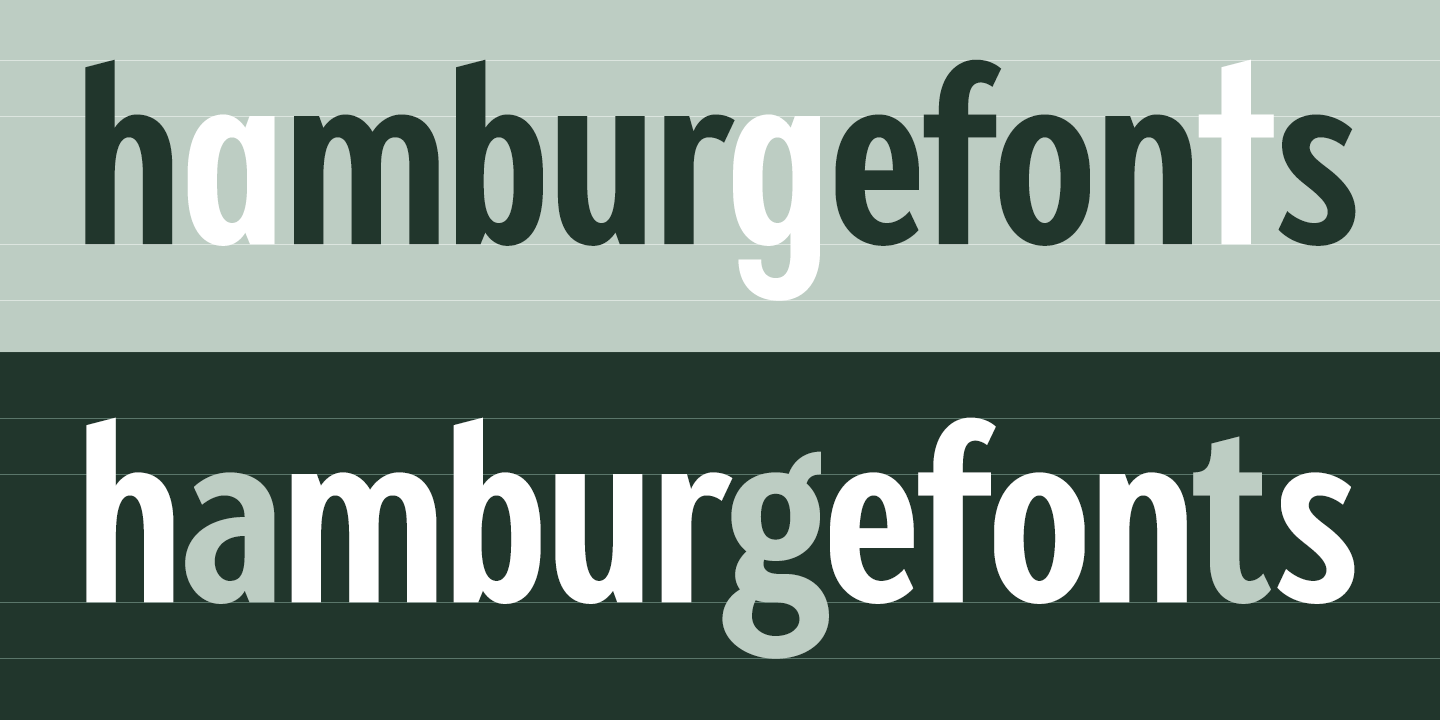 Przykład czcionki Fellbaum Grotesk Medium Italic
